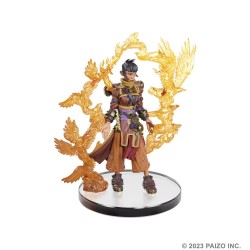 Pathfinder Battles pack 6 miniatures Iconic Heroes XI Boxed Set