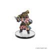 Pathfinder Battles pack 6 miniatures Iconic Heroes XI Boxed Set