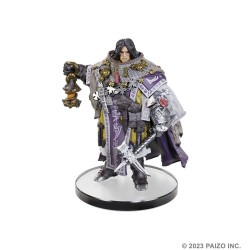 Pathfinder Battles pack 6 miniatures Iconic Heroes XI Boxed Set