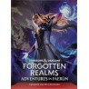 Dungeons & Dragons RPG Forgotten Realms: Aventures à Faerun guide du maître (version Française)